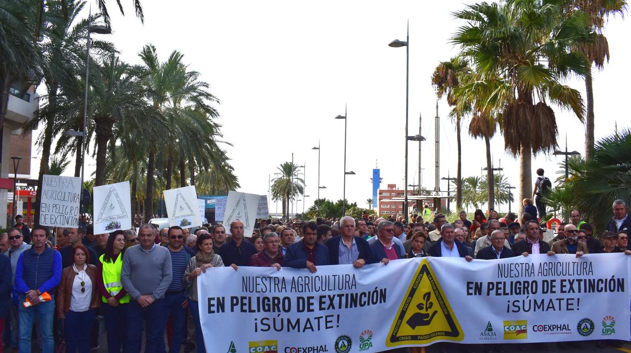 La comitiva ha recorrido las principales calles de Almería.