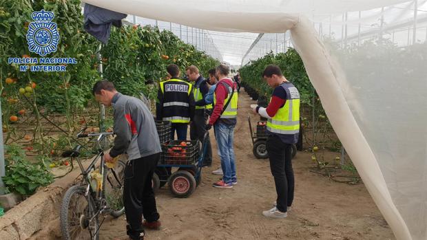 Destapan en Almería una trama empresarial que suplantaba identidades de sus trabajadores