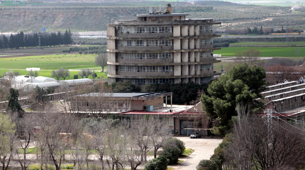 Imagen de la Torre de Agrónomos de la UCO, cuyo alquiler ha salido a concurso