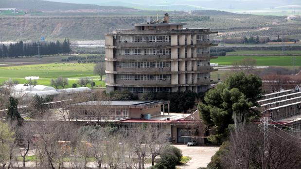 La Universidad de Córdoba excluye a Jicar del concurso de la Torre de Agrónomos y sólo queda una oferta