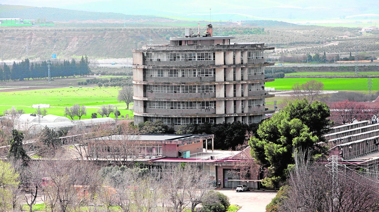 Torre de Agrónomos, propiedad de la Universidad de Córdoba