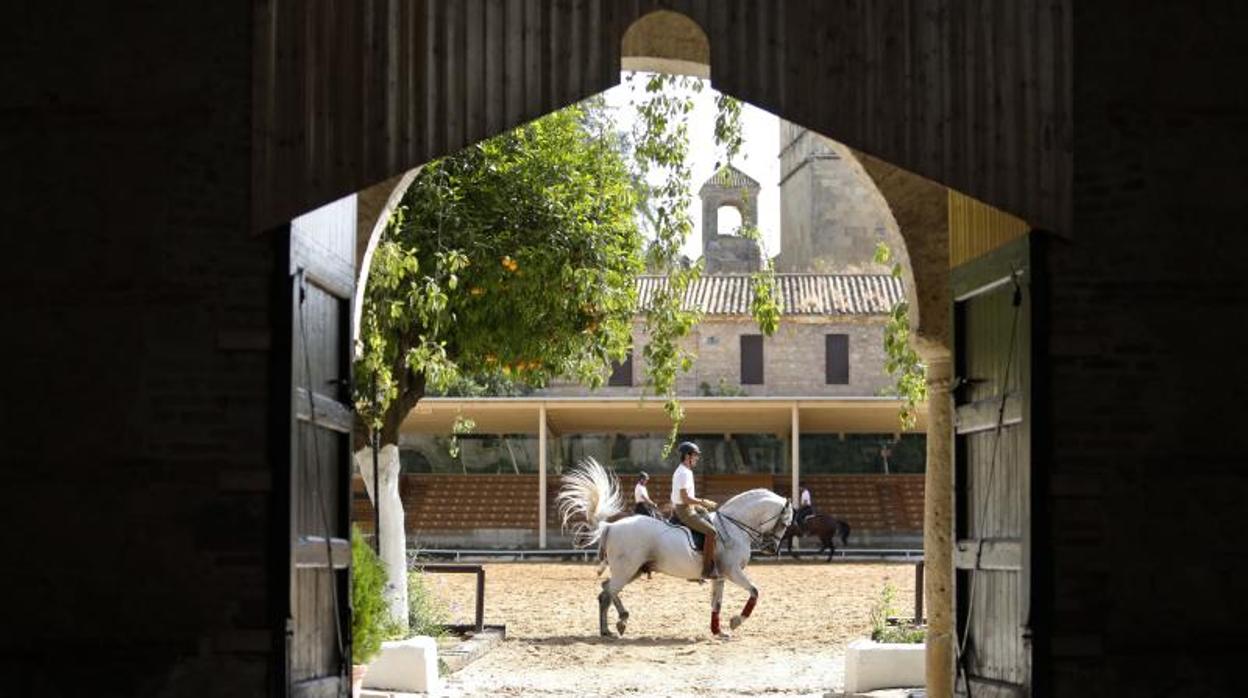 Un jinete de doma vaquera en Caballerizas Reales