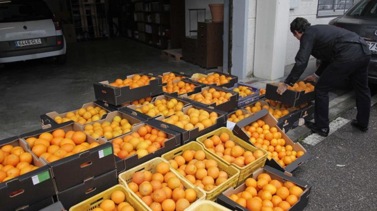 Naranjas expuestas para su venta