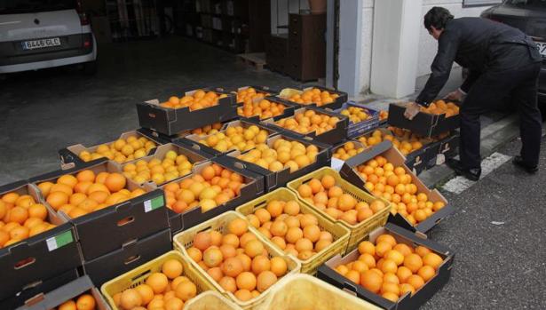 Investigadores de Córdoba desarrollan un método para saber si las naranjas son ecológicas o no