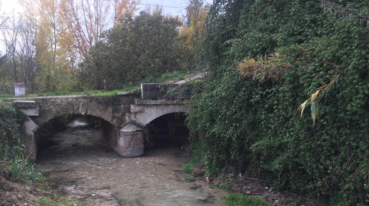 Zona del río Cabra donde se va a intervenir por parte de la Confederación Hidrográfica del Guadalquivir