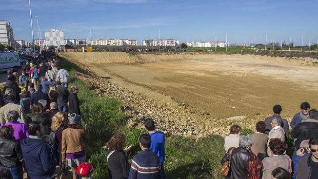 Los responsables del expolio arqueológico en la zona del Seminario serán juzgados el próximo enero