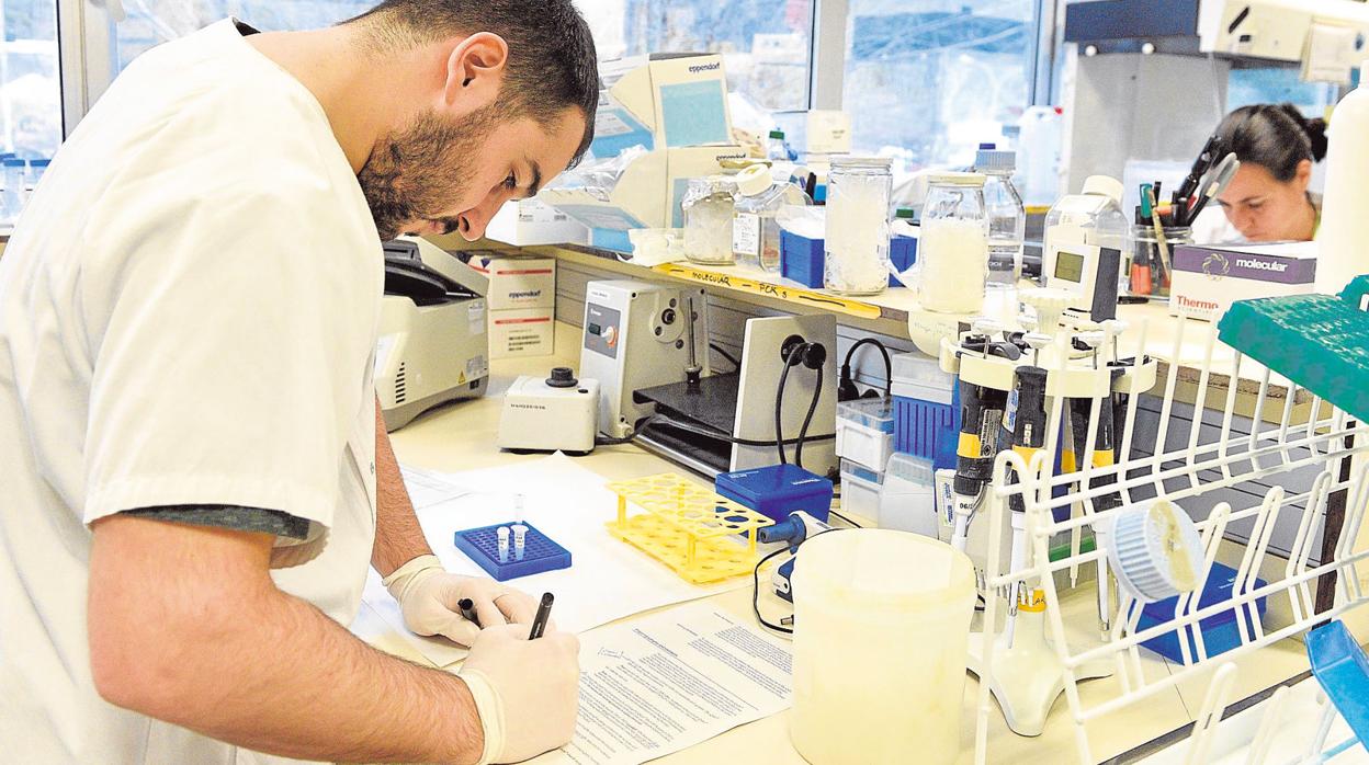 Dos científicos trabajan en su laboratorio contra el VIH