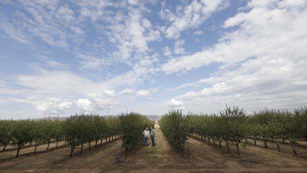 Los jóvenes agricultores en Córdoba llegan con ilusión, preguntas y petición de ayuda