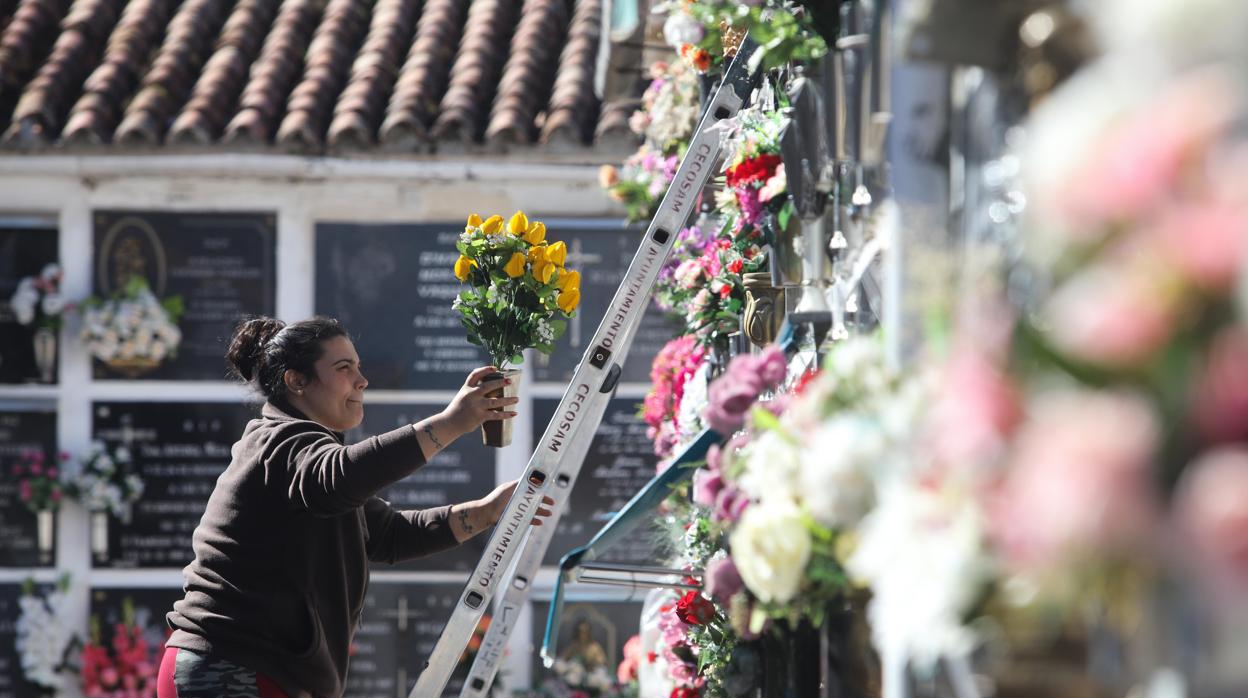 Cementerio gestionado por Cecosam