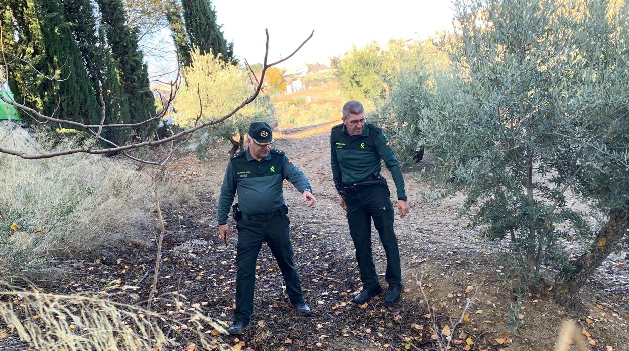 Agentes de la Guardia Civil rastrean una zona próxima a la vía verde