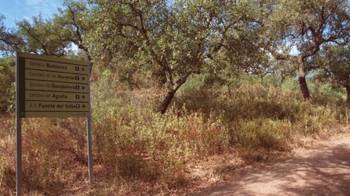 ¿Conoces las montañas de Córdoba?