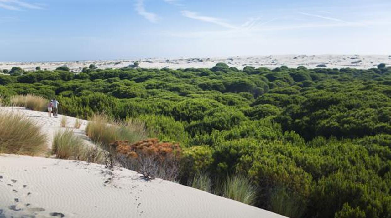 Corral entre la cadena de dunas móviles del Parque Nacional de Doñana