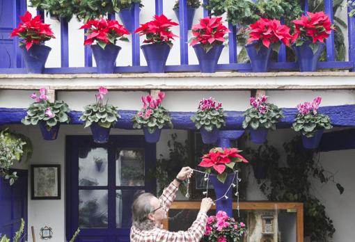 Todo lo que necesitas saber sobre la Navidad en los Patios de Córdoba: horarios, rutas y plano