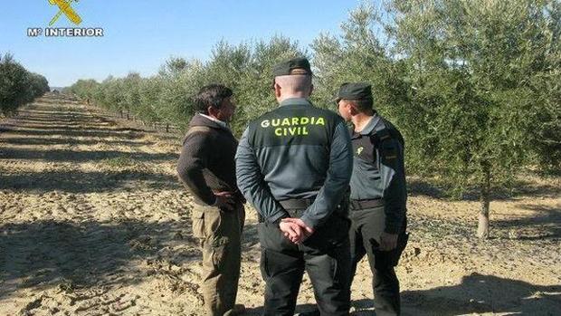 Agente de la Guardia Civil en Huelva... y apicultor en las horas libres