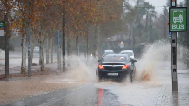 El tiempo en Córdoba | Activada de nuevo la alerta amarilla por fuertes vientos en la Campiña