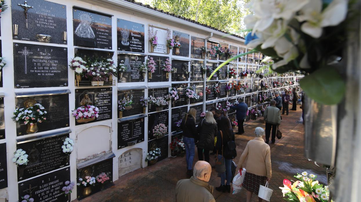 Cementerio de San Rafael