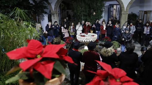 Visitantes en un Patio de Córdoba esta Navidad