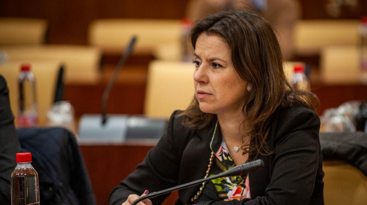 La portavoz del Grupo Parlamentario Popular en la comisión de Faffe, Ana Vanessa García