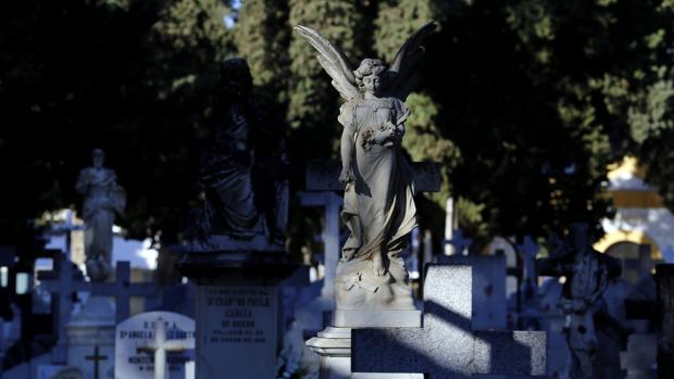 Cecosam logra unanimidad para aprobar unas cuentas para 2020 que prevén reformas en los cementerios