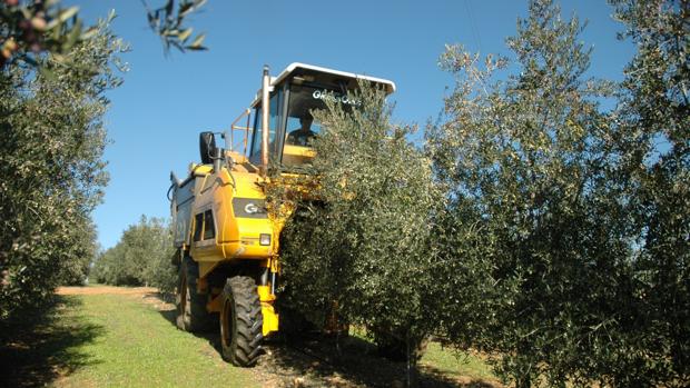 Fallece un agricultor de 44 años en Carcabuey tras caerle encima un tractor