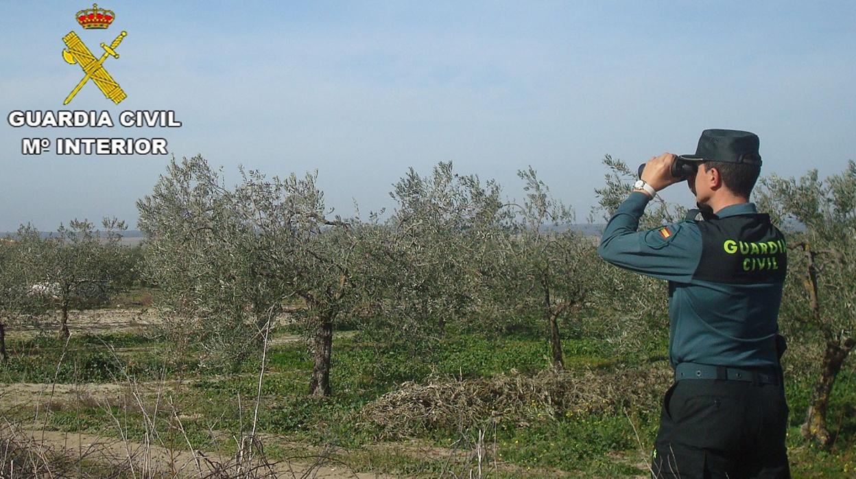 Un agente vigilando una explotación agrícola