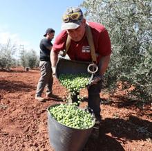 La sequía, la nueva PAC o la caída de precios, los nubarrones del campo de Córdoba en 2020