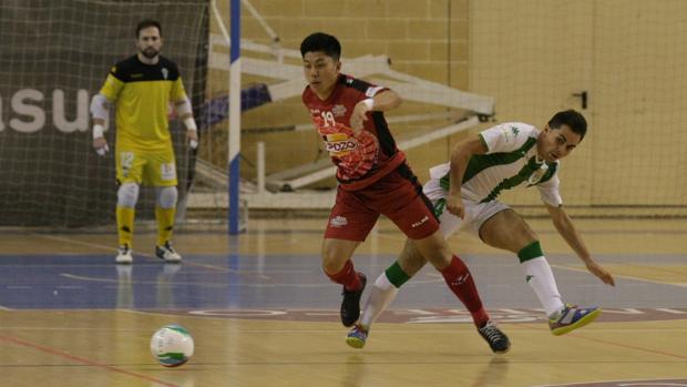 Fichajes Córdoba Patrimonio | El japonés Shimizu, un goleador como segundo refuerzo de invierno