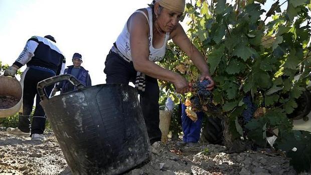 El número de inmigrantes ascendió en Córdoba un 56,9% durante el primer semestre de 2019