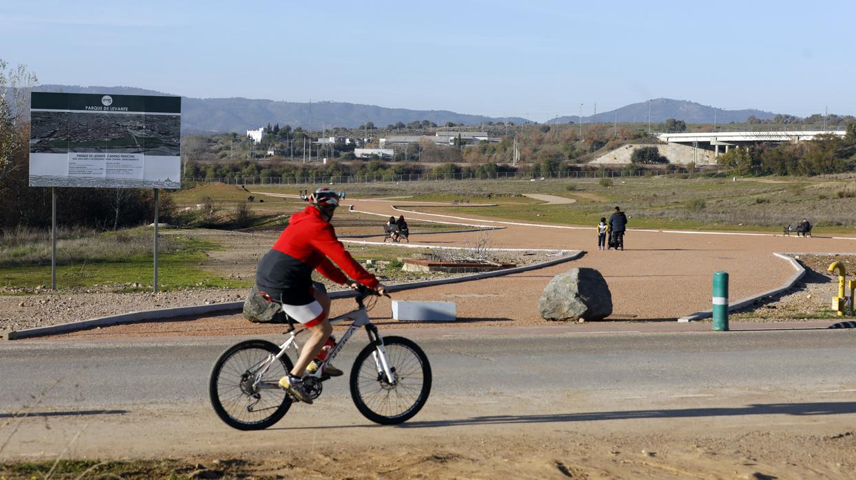 Imagen del camino central del Parque de Levante, sobre el que ya ha actuado la Gerencia de Urbanismo