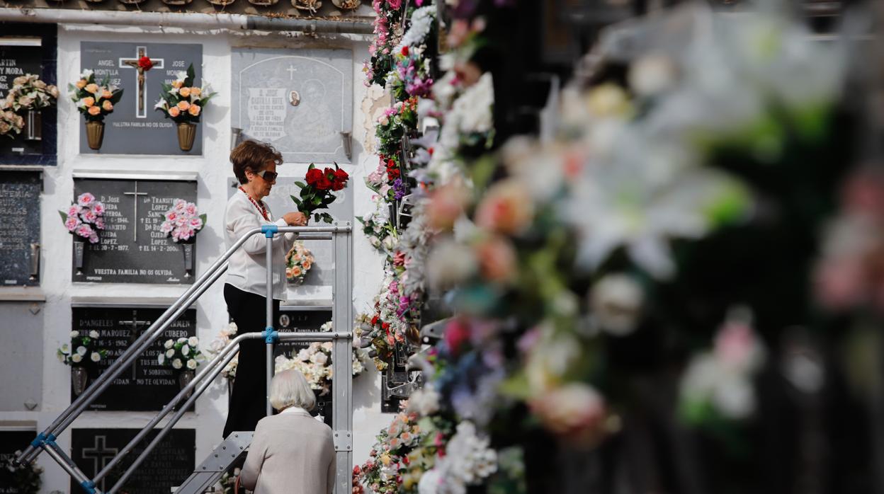 Cementerio de San Rafael