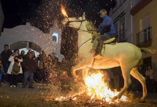 Los alosneros saltan las luminarias a lomos de caballos