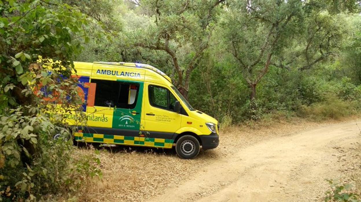 Equipo del 061 en la zona del rescate al ciclista