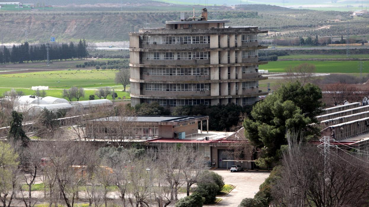 Imagen de la Torre de Agrónomos de la Universidad de Córdoba