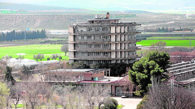 Torre de Agrónomos de Córdoba | ¿Qué otros usos de plantearon para el edificio?
