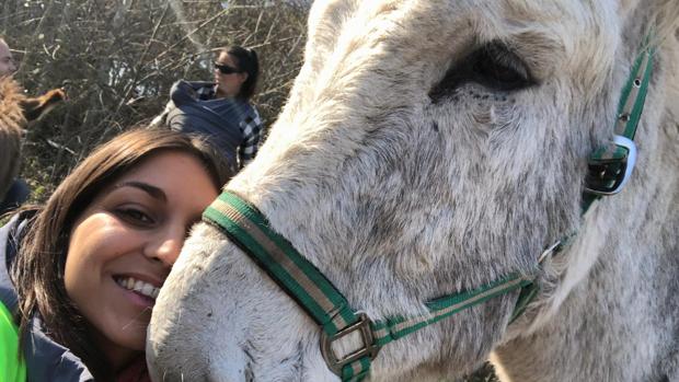 Asnos limpian de plásticos las playas de Doñana