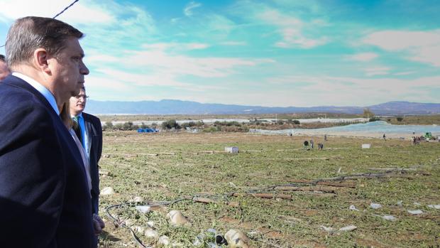 El ministro Planas ofrece fondos europeos a los agricultores afectados por el temporal Gloria