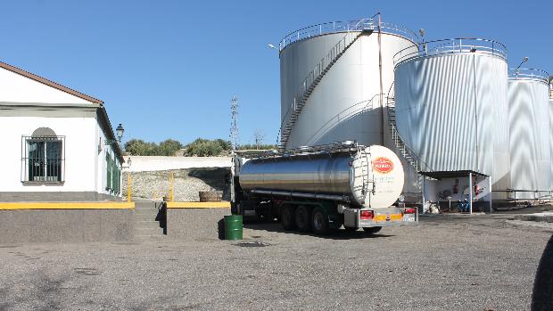 El almacenamiento privado reabre los depósitos de aceite de oliva de Lucena