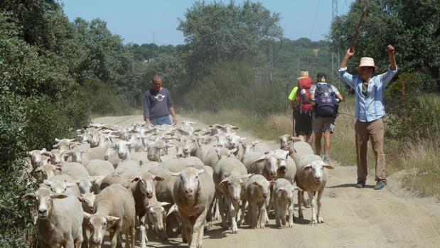 Camino Mozárabe de Córdoba, la ruta de los peregrinos que aman la soledad