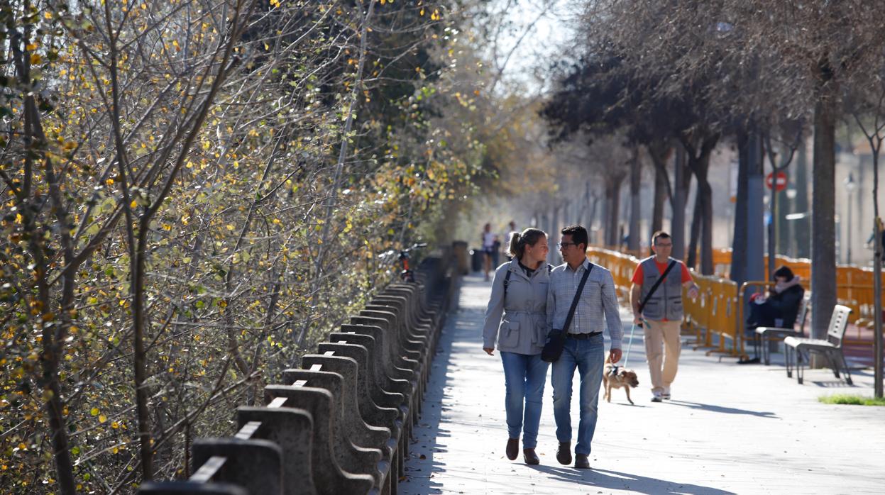 Personas paseando por la Ribera en Córdoba