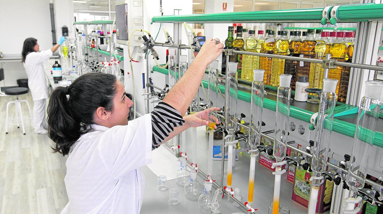 Una planta de envasado de aceite de oliva de Córdoba