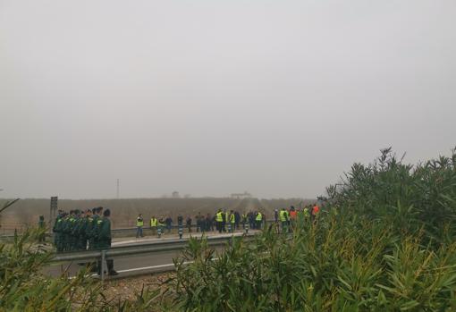 Olivareros de Córdoba cortan la A-4 en ambos sentidos para denunciar la crisis de precios