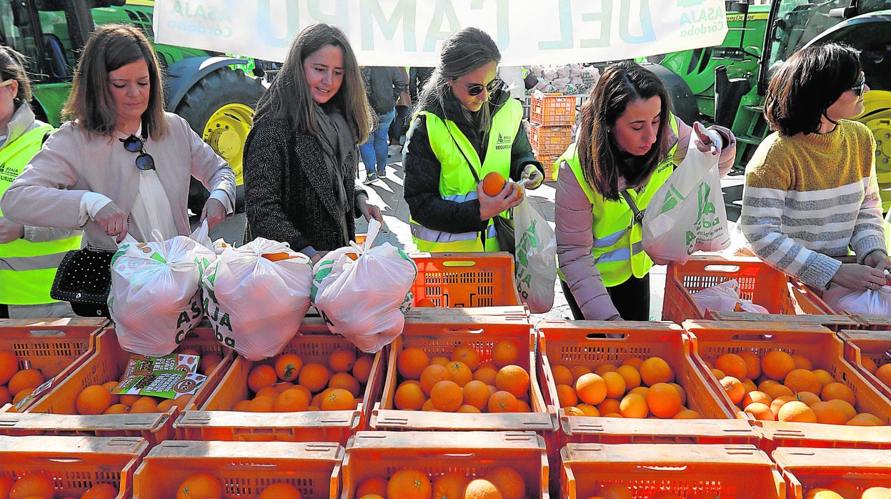 Reparto de naranjas en Córdoba en febrero de 2019 por los bajos precios de los cítricos