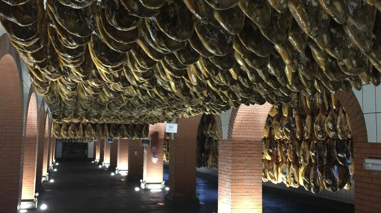 Un secadero de jamones de la Sierra de Huelva