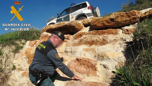 Investigado por expoliar fósiles y provocar daños en el yacimiento Cañada del Hornillo de Carcabuey