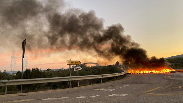 Los olivareros cortan las carreteras de Jaén para protestar por la situación del campo