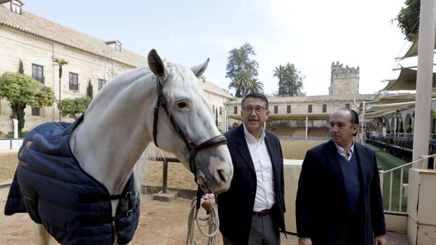 Más de 200 caballos y 50 enganches recorrerán Córdoba el día de Andalucía