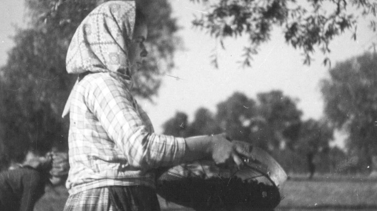 Una mujer contempla fotografías de una exposición de Félix Navarro sobre la mujer rural