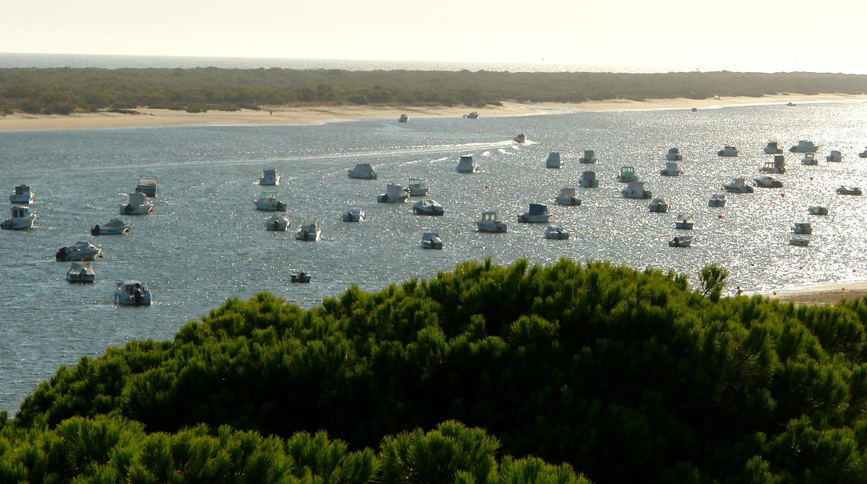 Vista de la flecha de El Rompido, en la Costa de Huelva