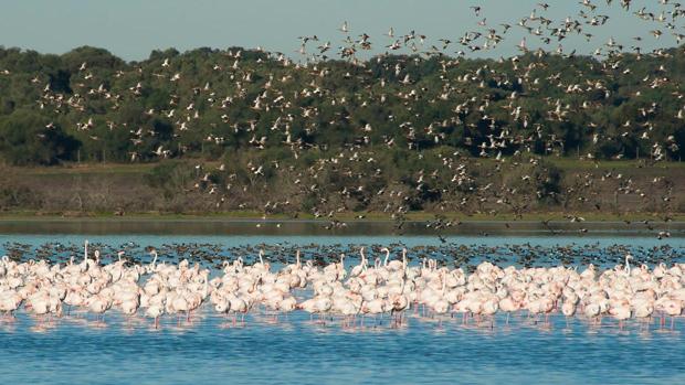 Doñana se blinda ante el Coronavirus