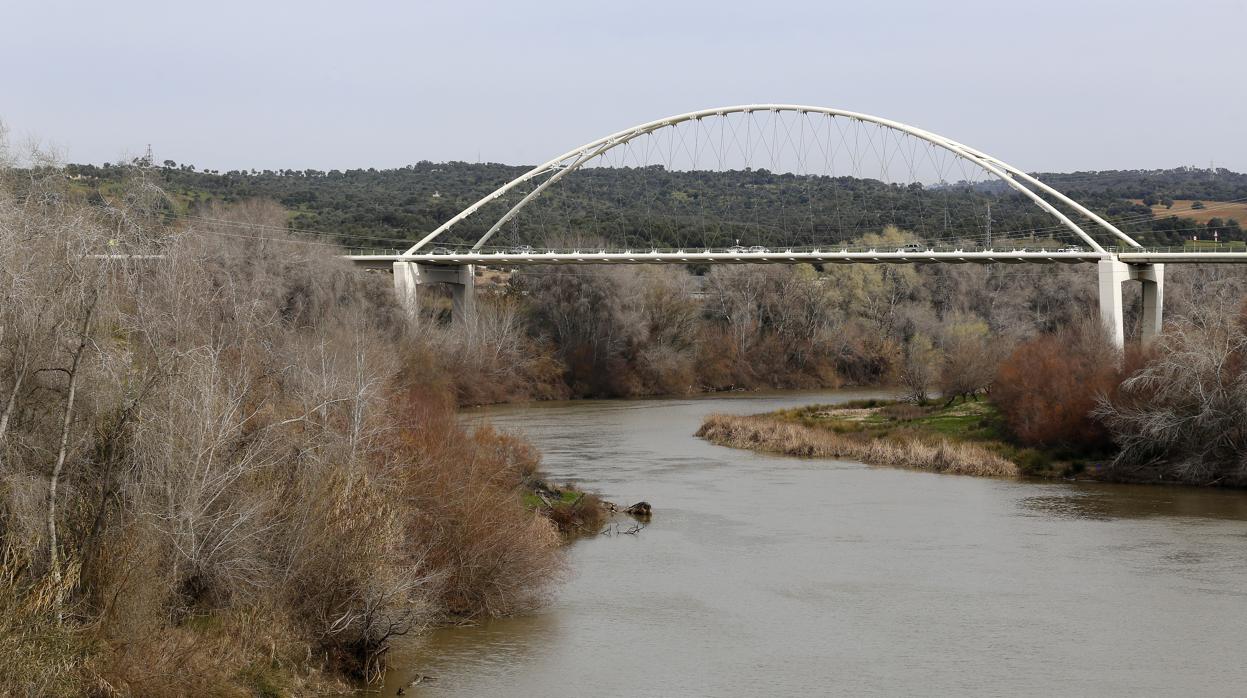 El puente de arco de Palma Río es una de las construcciones a vigilar